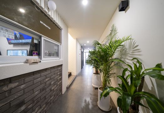 수유 호텔 피카소