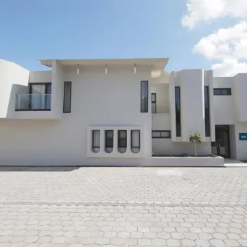 Cedrela