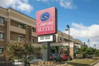 Comfort Suites Oakbrook Terrace Near Oakbrook Center Hôtels à : York Township