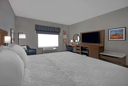 Hampton Inn by Hilton Midland South