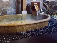 有田川溫泉陽光飯店 - SPA