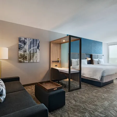 SpringHill Suites Dallas Richardson/University Area