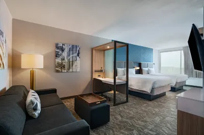 SpringHill Suites Dallas Richardson/University Area Hotels in Dallas