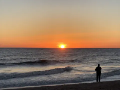 C4, Perfect location in downtown, near beaches, work from home, free parking!