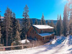 July Special! Cabin with Hot Tub! Near FairPlay & Breck!