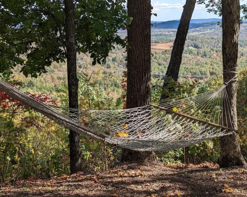 Walk to North Carolina's Stone Mountain State Park! Beautiful Waterfalls Hotels in Traphill
