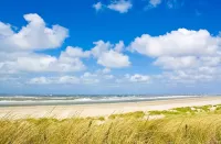 Exclusive apartment with large roof terrace near the beach with sauna Hotels in Langeoog