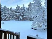 Come and stay at the Peaceful Pinecone in beautiful Torreon!