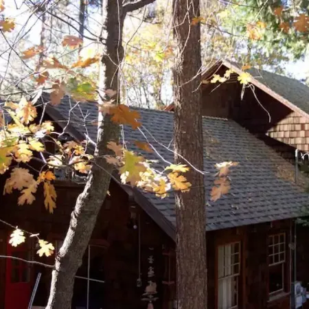 Twin Rock Tree House - Vintage Cabin