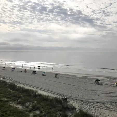 Oceanfront 2Br 2Ba Condo with elevator and amazing views!