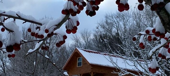 ParadisePeak Hummingbird Cabin with Indoor Jacuzzi in the Heart of Amish Country Hotels in Holmes County