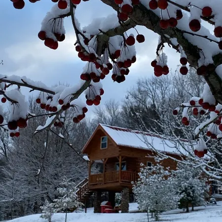 ParadisePeak Hummingbird Cabin with Indoor Jacuzzi in the Heart of Amish Country