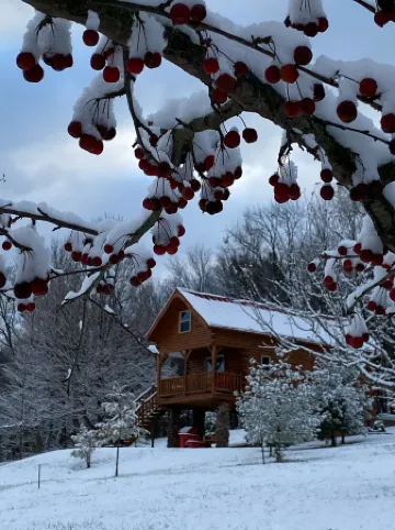 ParadisePeak Hummingbird Cabin with Indoor Jacuzzi in the Heart of Amish Country
