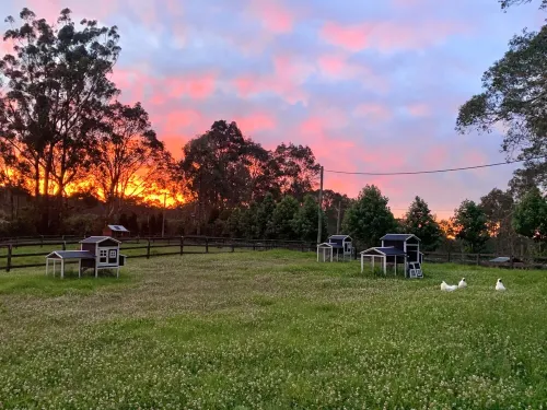 Newly Renovated Apartment on stunning Arabian Horse Stud