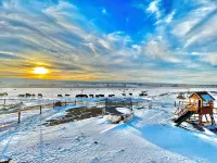 Montrose Quiet Country Home with a View on 3 Acres! Hotels in Montrose County