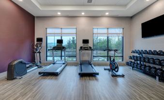 Hampton Inn & Suites by Hilton Burlington Toronto