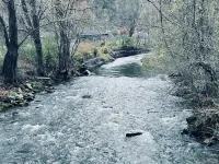 Cozy retreat in Damascus on the AT and Creeper Trail. Pet Friendly! Hotels in Damascus