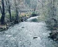 Cozy retreat in Damascus on the AT and Creeper Trail. Pet Friendly!