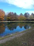 Summer Fun, Pool w/Amenities in Lake Harmony at Jack Frost Mtn with Pond View
