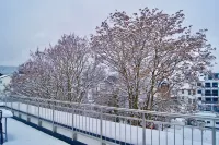 Vis-Ahr-Vis Apartment 1 Hotel a Bad Neuenahr-Ahrweiler