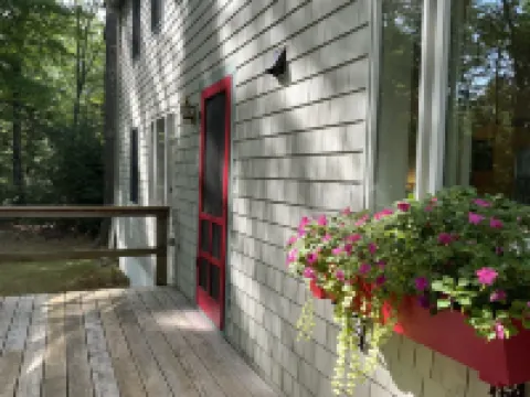 Cozy cottage in woodland setting near to hiking biking and lakes