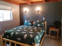 Remote cabin on 40 acres with wildlife and no distractions.