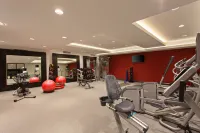 Hilton Garden Inn Irvine/Orange County Airport - gimnasio