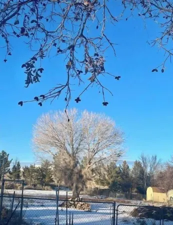 Cantrell's Bunk House Отели в г. Блумфилд