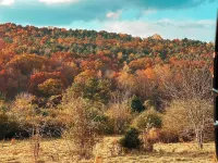 Nature's Cedar Creek Getaway