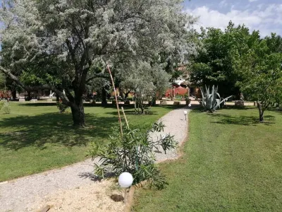 THE Rosemary, MAS MAURANE, TARASCON