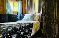 Immerse yourself with nature at this unique living tree-treehouse! Hotels near Napoleon Township Park