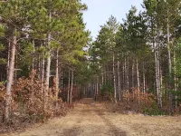 Guest house on secluded 120 acre property minutes from Chain 0' Lakes