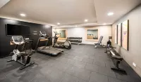 Holiday Inn MANNHEIM CITY - HAUPTBAHNHOF by IHG - Gym