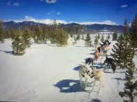 BRAND NEW Contemporary 2 BR near Winter Park Ski Resort on Shuttle w/priv hottub