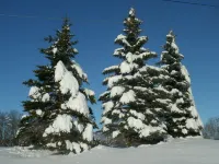 Studio 3 BEDS-SLP 3. Downtown Windham. Next to the Ski Resort. Close to Hunter Hotels in Windham