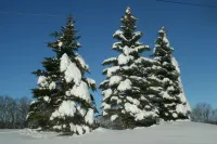 Studio 3 BEDS-SLP 3. Downtown Windham. Next to the Ski Resort. Close to Hunter