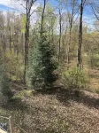 Cozy vacation home nestled in a quiet wooded area. Near town but private