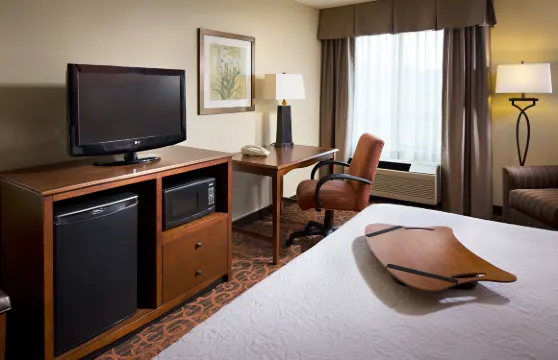 希爾頓歡朋酒店-聖迭戈德爾馬