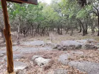 Deer Run Cabin, Utopia TX