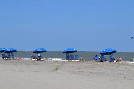 Fall Days & Nights Still Call for Flip-Flops at Hannah's Cabana.... Отели в г. Айл оф Палмс