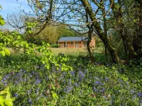 High quality lodge in secluded field
