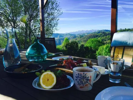 Casa Nela, a special corner of Asturias Отели рядом с достопримечательностью «Río de la Ría»
