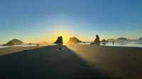 Ocean Front ON the Beach - 14 Minutes to Bandon Dunes Golf! Spectacular Views! - 4성급