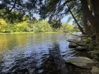 Cozy retreat for the whole family!5 min. walk to the famous Salmon River