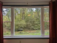 Hill Top Cottage with Chickens!