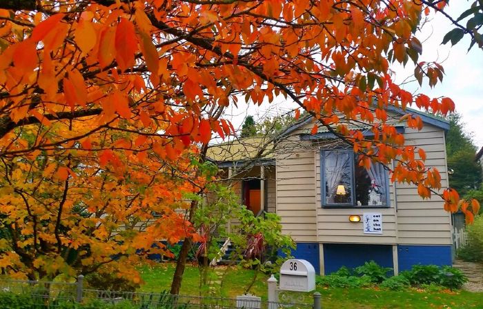 Cat On The  Hat Cottage ~MeOw MeOw~5 stars 🌟🌟🌟 🌟 🌟 😻 property