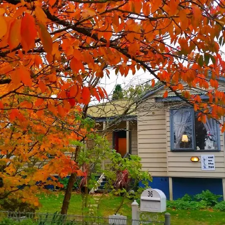 Cat On The Hat Cottage ~MeOw MeOw~5 stars 🌟🌟🌟 🌟 🌟 😻 property