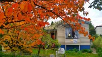 Cat On The  Hat Cottage ~MeOw MeOw~5 stars 🌟🌟🌟 🌟 🌟 😻 property - Wifi