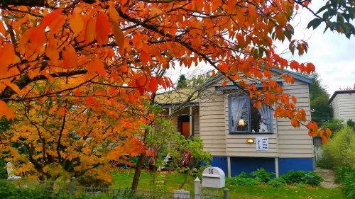 Cat On The  Hat Cottage ~MeOw MeOw~5 stars 🌟🌟🌟 🌟 🌟 😻 property