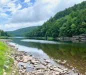 Modern Cabin nestled between Catskills and Poconos
